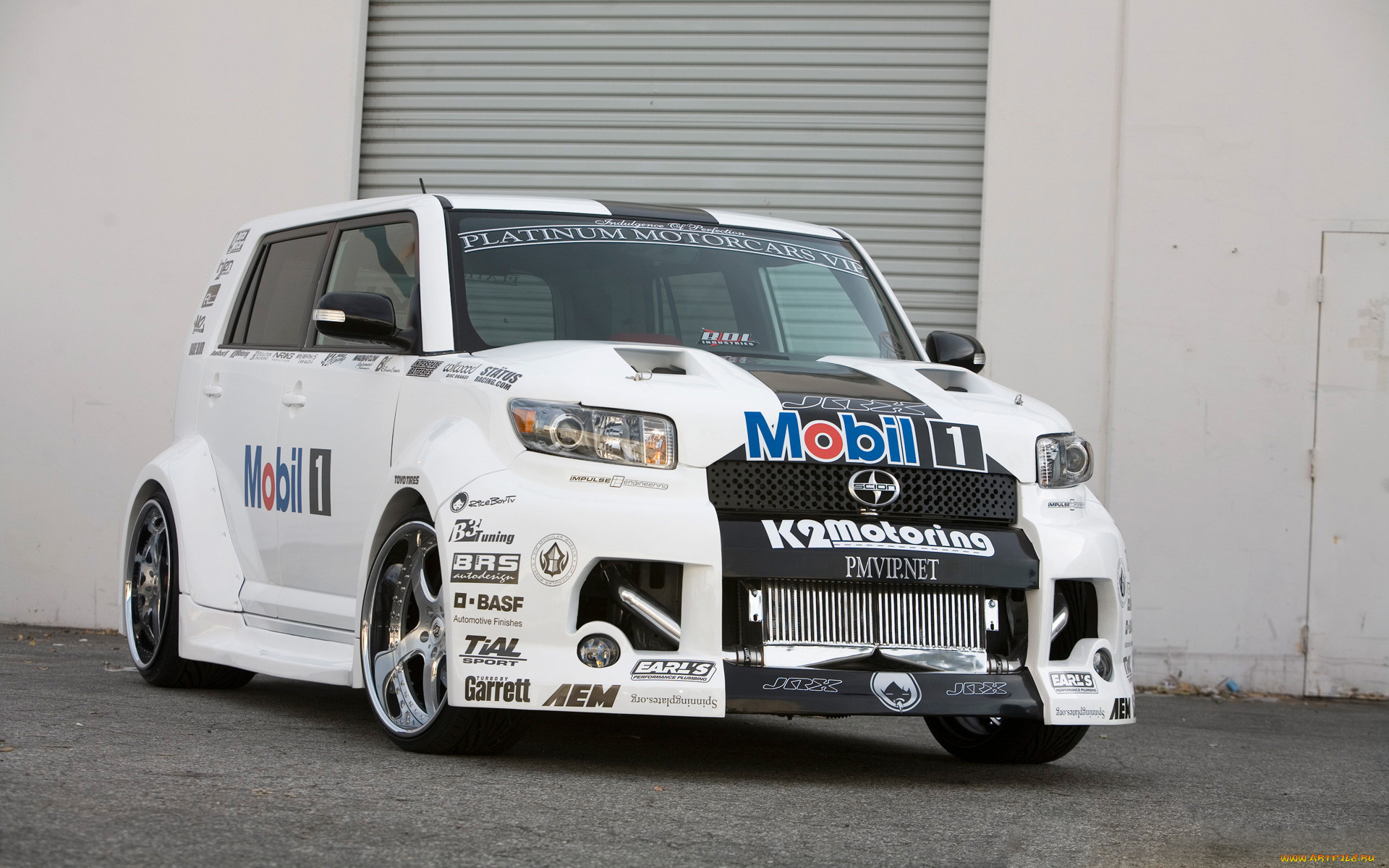 , scion